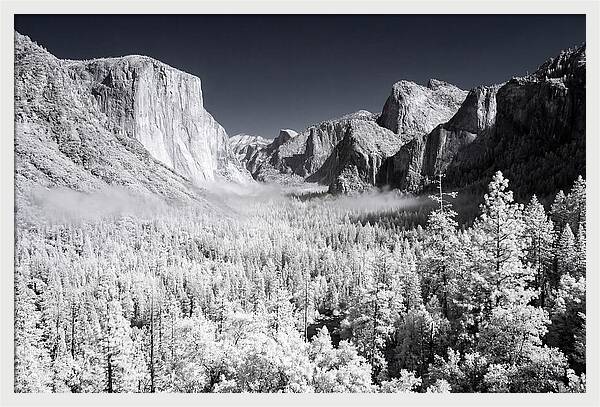 Dawn Serenity In Yosemite Valley