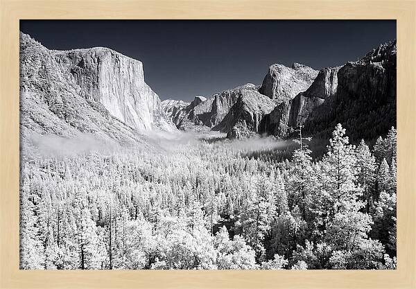 Dawn Serenity In Yosemite Valley