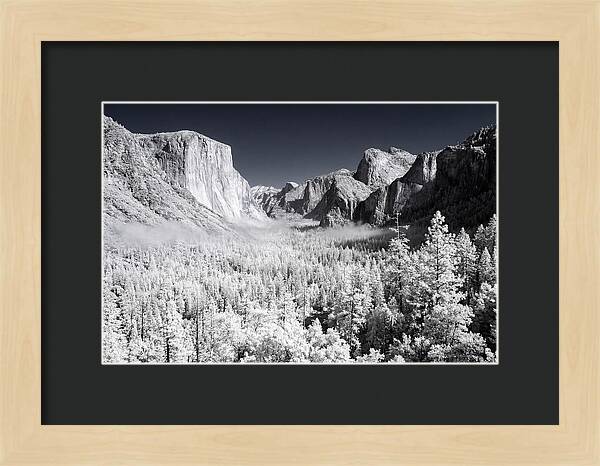 Dawn Serenity In Yosemite Valley