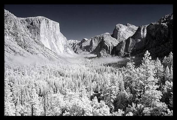 Dawn Serenity In Yosemite Valley