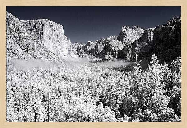 Dawn Serenity In Yosemite Valley