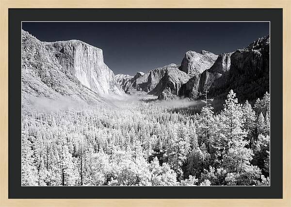 Dawn Serenity In Yosemite Valley