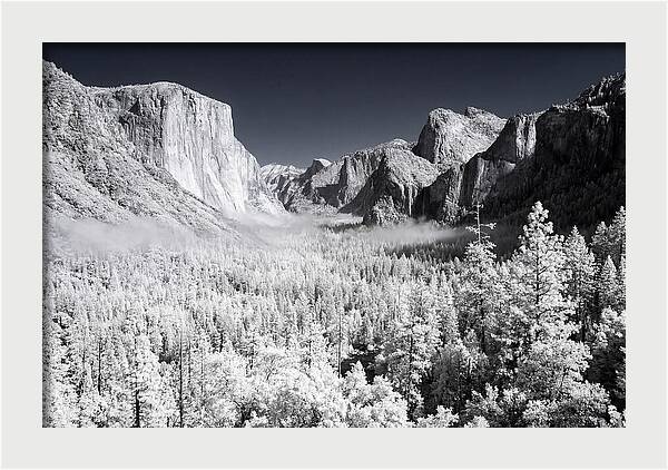 Dawn Serenity In Yosemite Valley