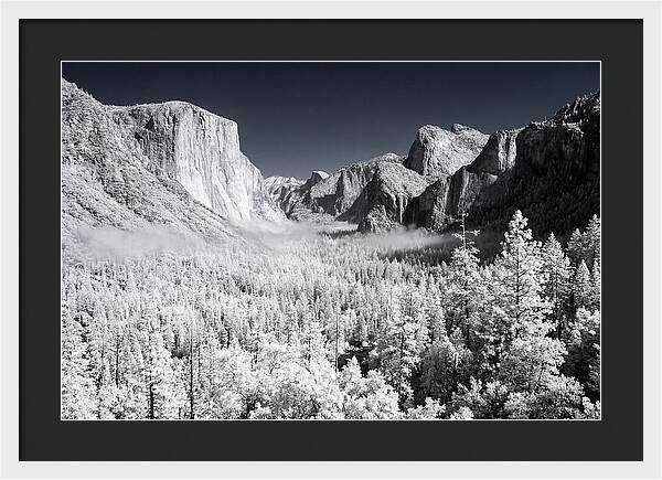 Dawn Serenity In Yosemite Valley
