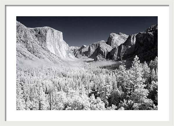 Dawn Serenity In Yosemite Valley