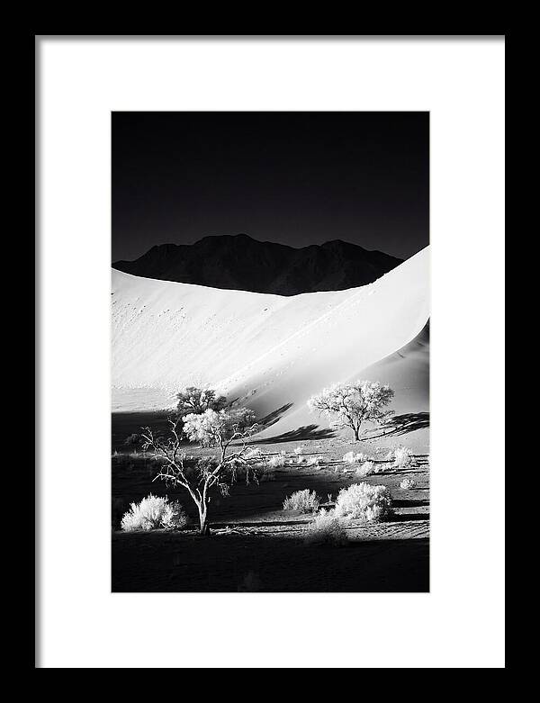 Dawns Embrace In Sossusvlei