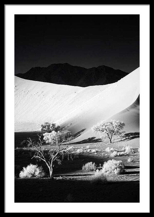 Dawns Embrace In Sossusvlei