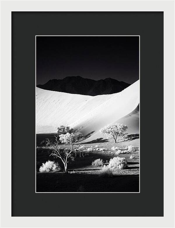 Dawns Embrace In Sossusvlei