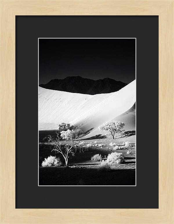 Dawns Embrace In Sossusvlei