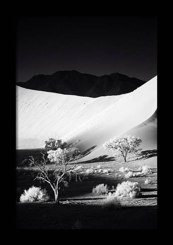 Dawns Embrace In Sossusvlei