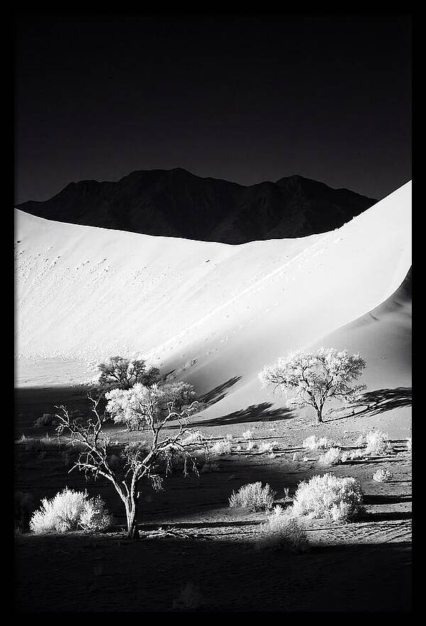 Dawns Embrace In Sossusvlei