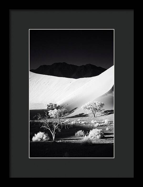 Dawns Embrace In Sossusvlei