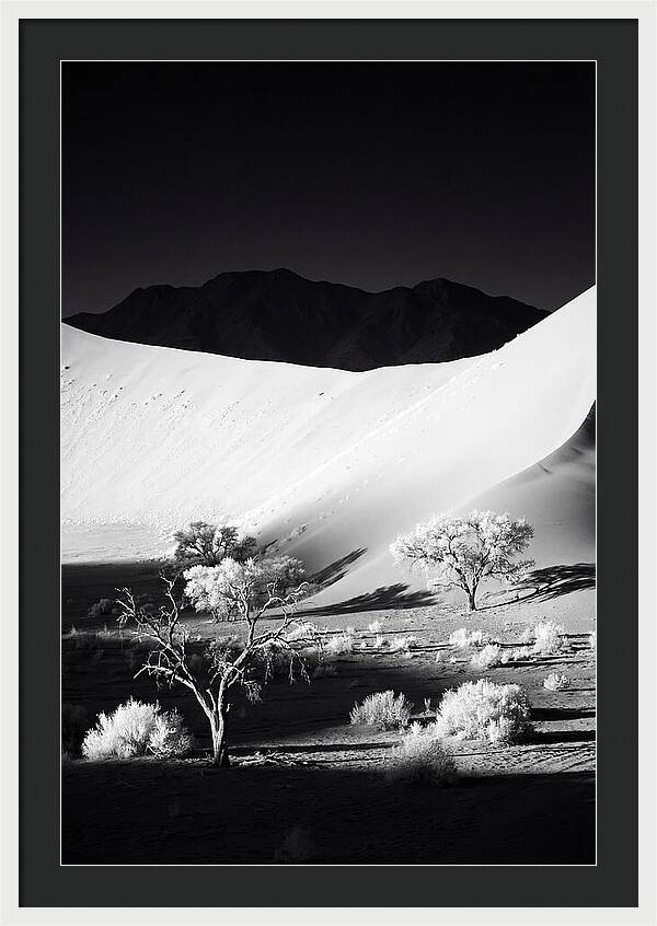 Dawns Embrace In Sossusvlei