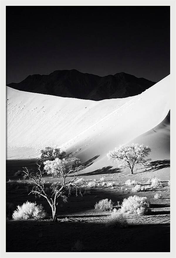 Dawns Embrace In Sossusvlei