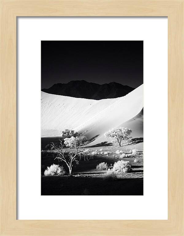 Dawns Embrace In Sossusvlei