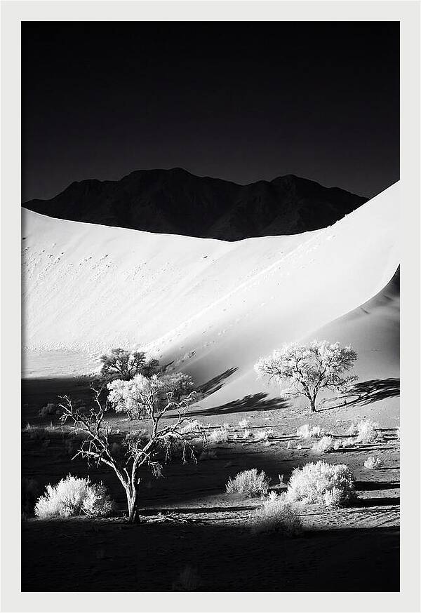 Dawns Embrace In Sossusvlei