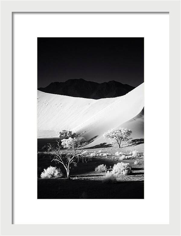Dawns Embrace In Sossusvlei