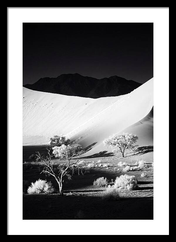 Dawns Embrace In Sossusvlei