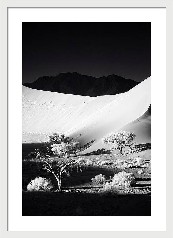 Dawns Embrace In Sossusvlei