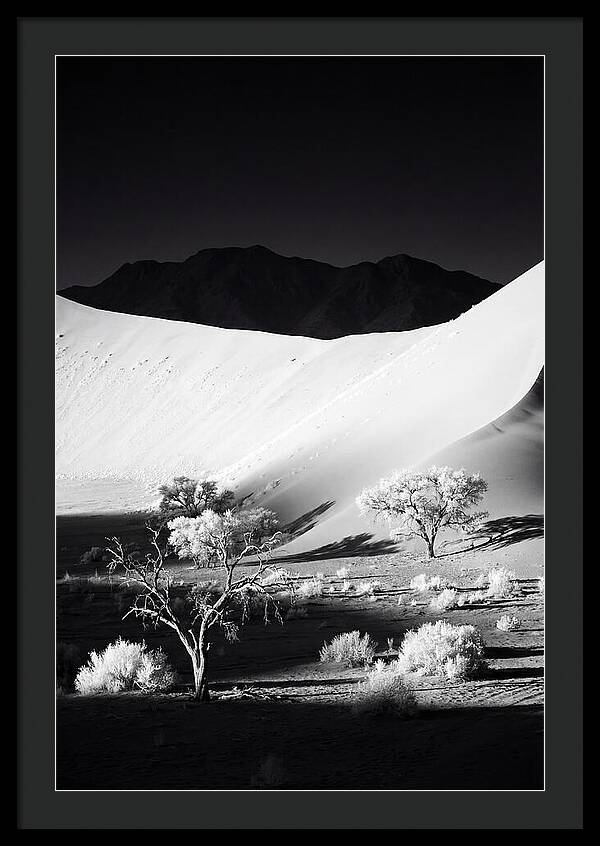 Dawns Embrace In Sossusvlei