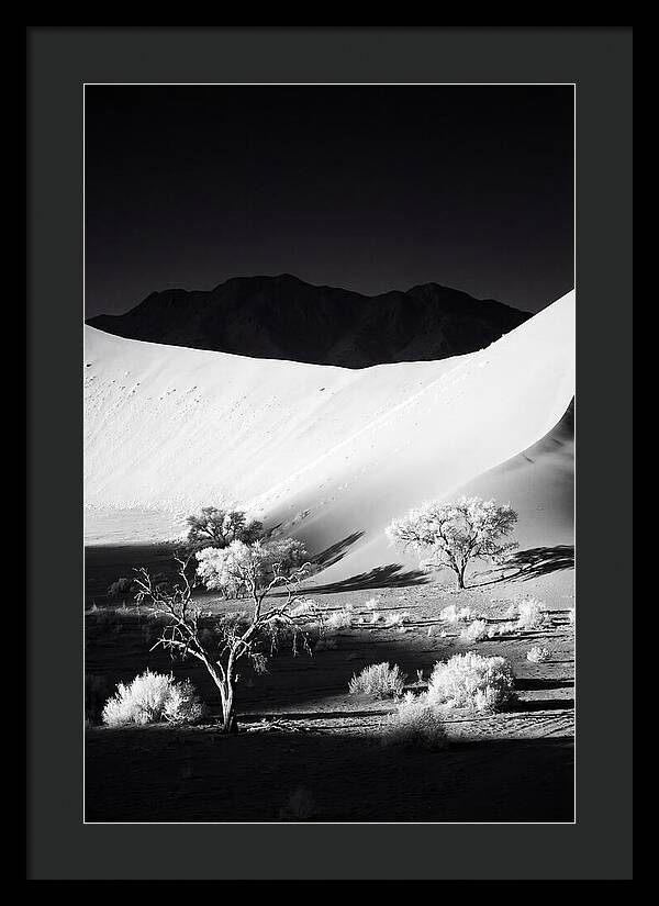 Dawns Embrace In Sossusvlei
