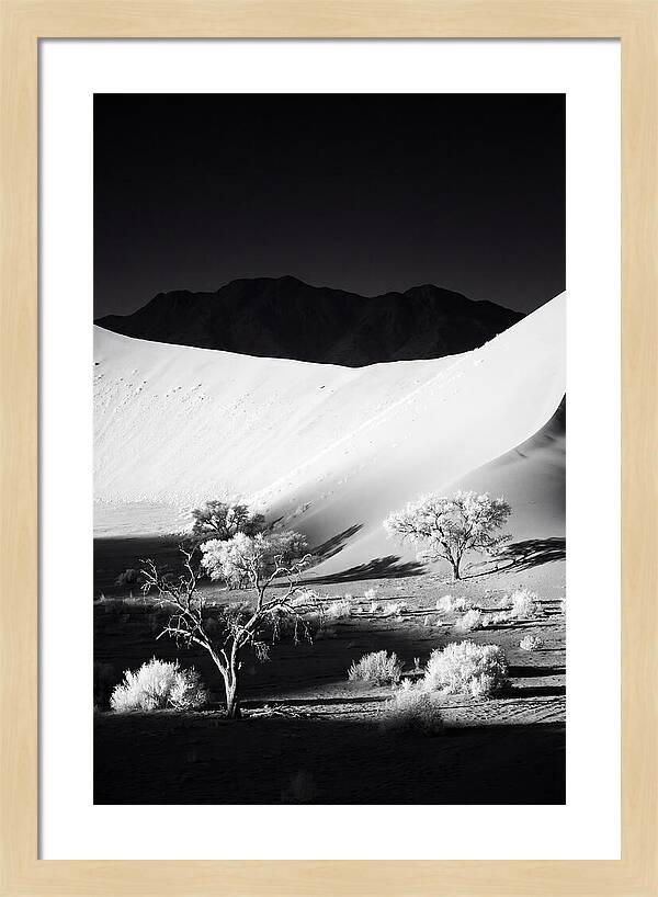 Dawns Embrace In Sossusvlei