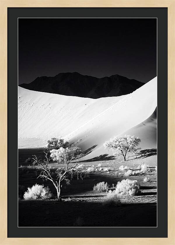 Dawns Embrace In Sossusvlei