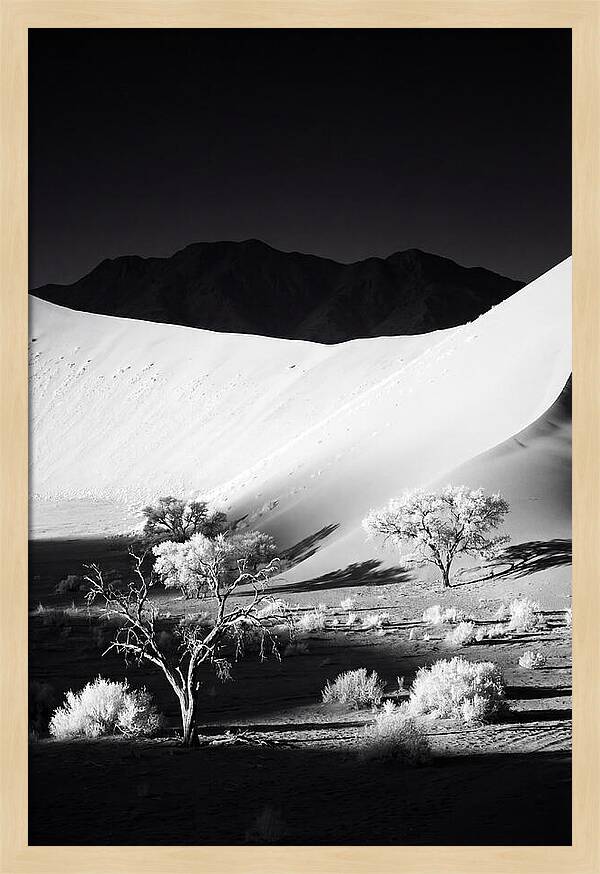 Dawns Embrace In Sossusvlei