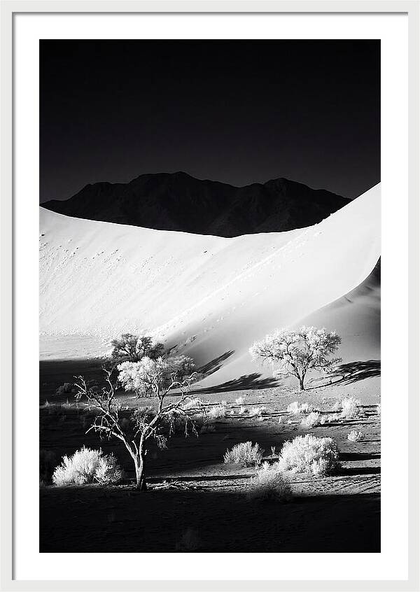 Dawns Embrace In Sossusvlei