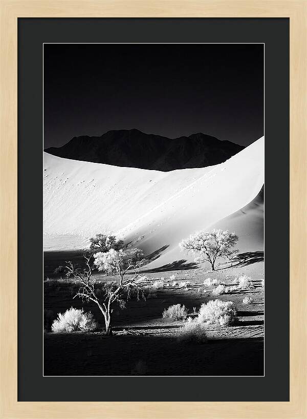Dawns Embrace In Sossusvlei