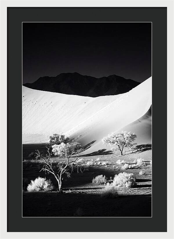 Dawns Embrace In Sossusvlei