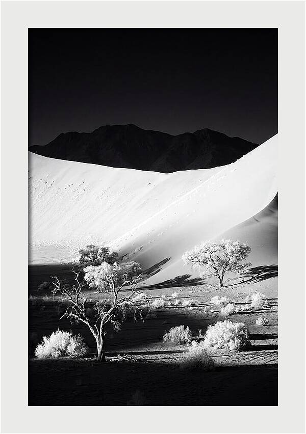 Dawns Embrace In Sossusvlei