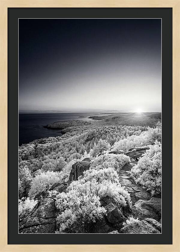 Dawns Embrace Over Cadillac Mountain