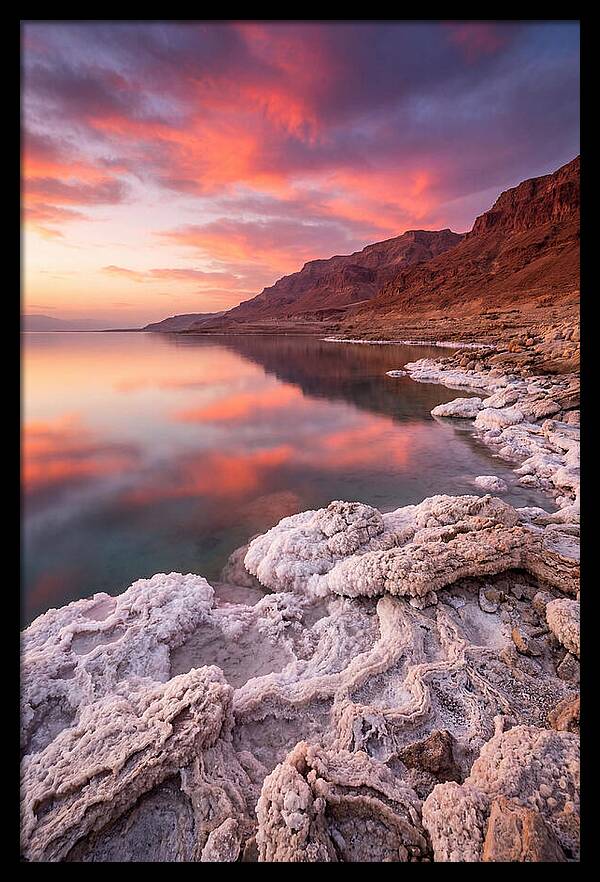 Dead Sea Serenity At Sunset