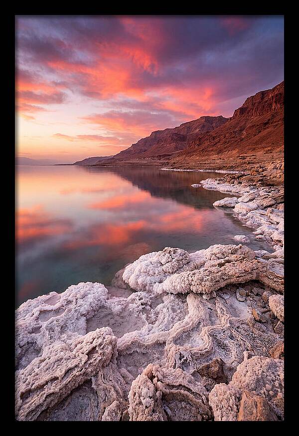 Dead Sea Serenity At Sunset