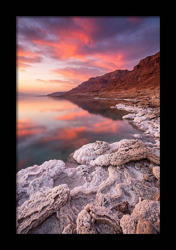 Dead Sea Serenity At Sunset