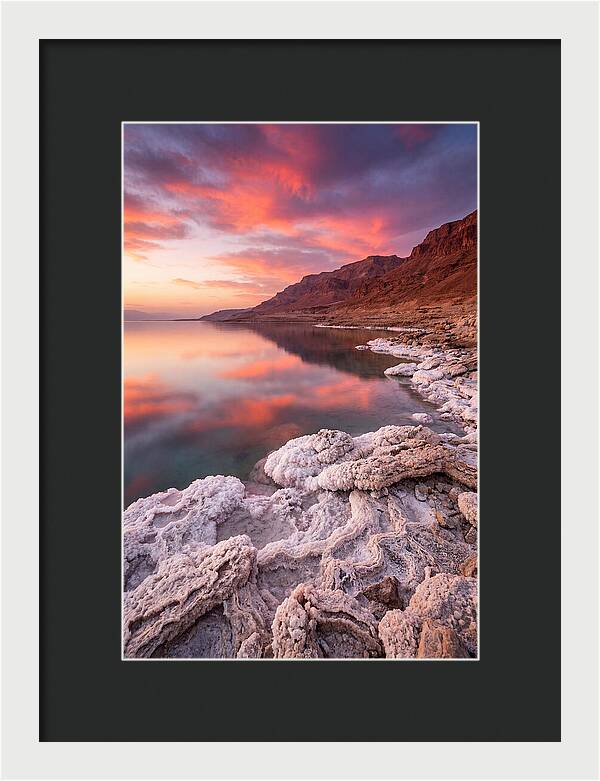 Dead Sea Serenity At Sunset