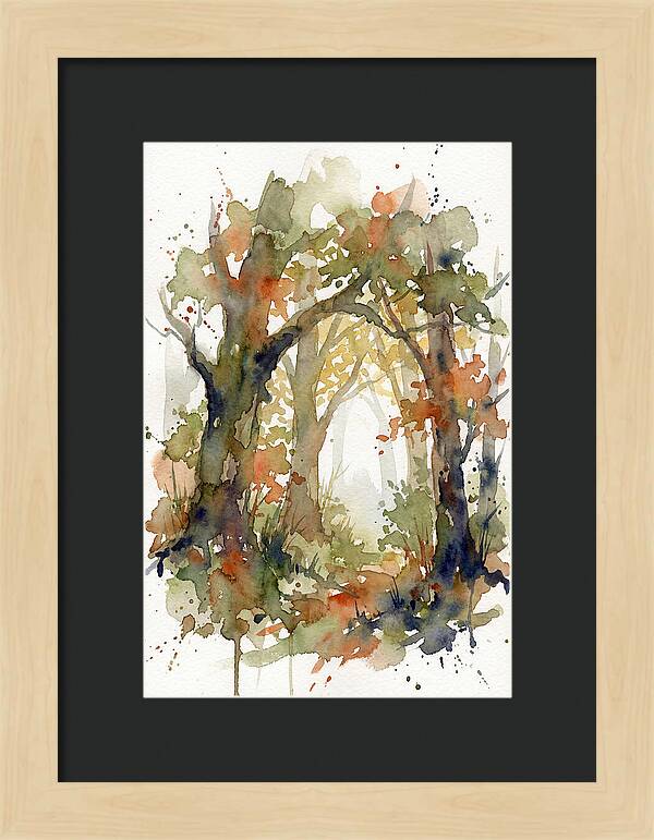Deciduous Forest Pathway