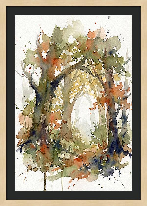 Deciduous Forest Pathway