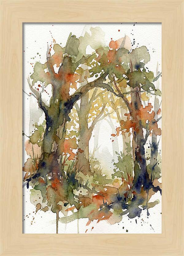 Deciduous Forest Pathway