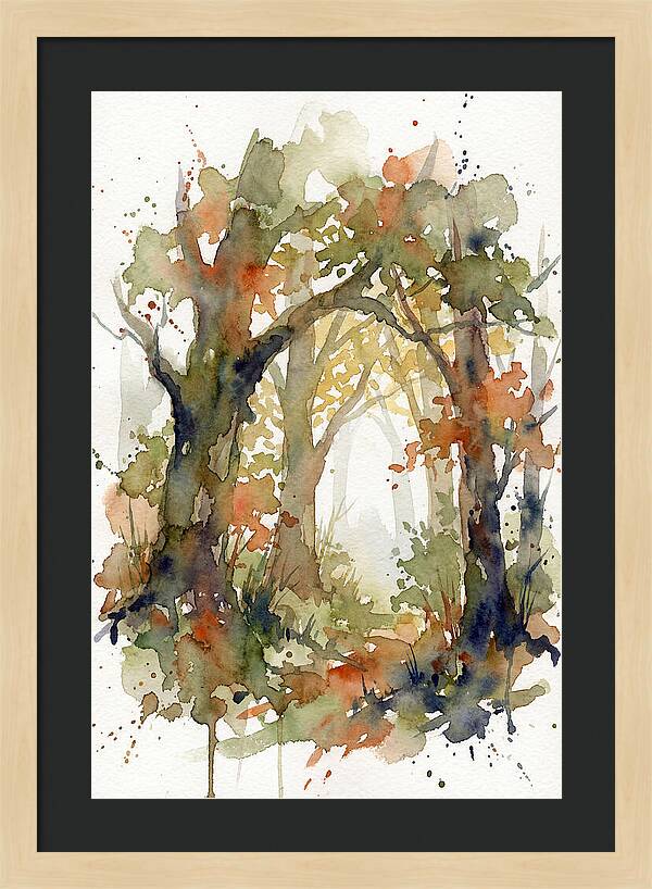 Deciduous Forest Pathway