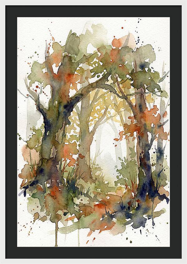 Deciduous Forest Pathway