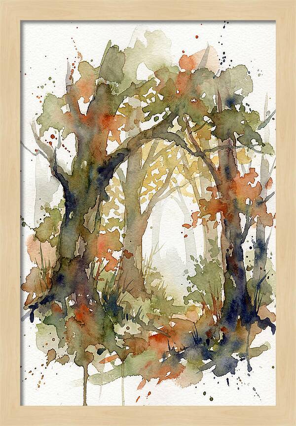 Deciduous Forest Pathway