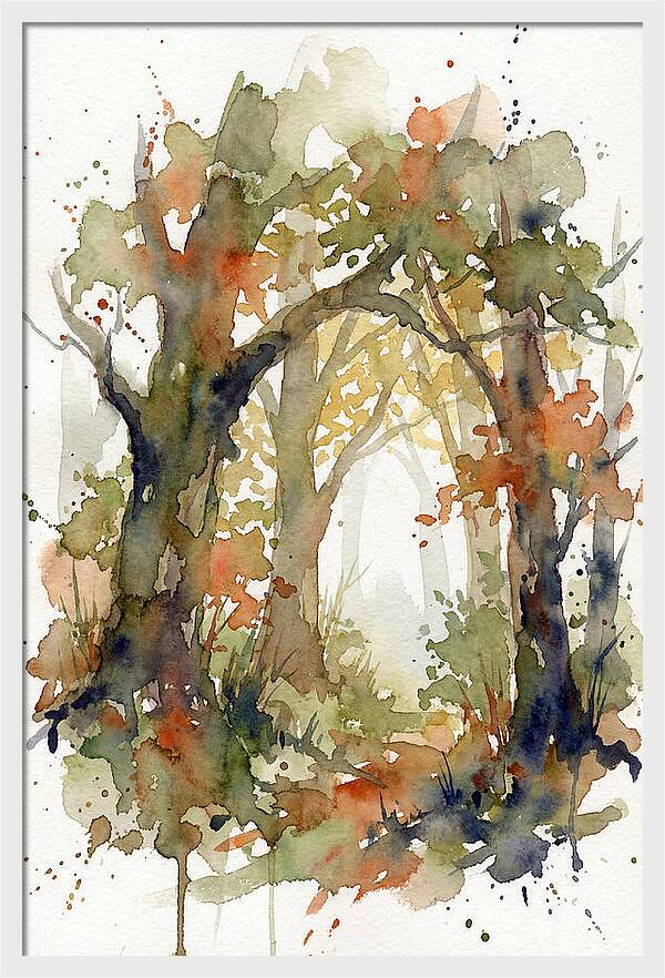Deciduous Forest Pathway