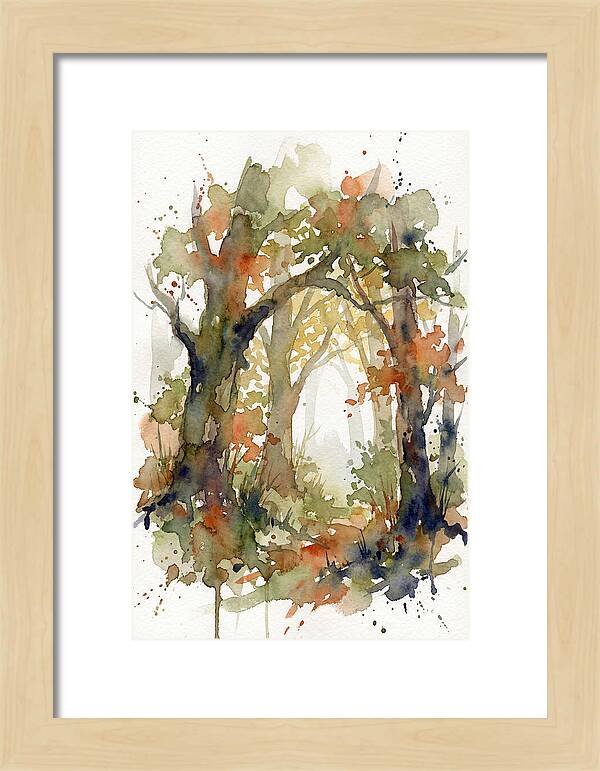 Deciduous Forest Pathway