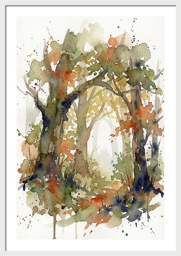 Deciduous Forest Pathway
