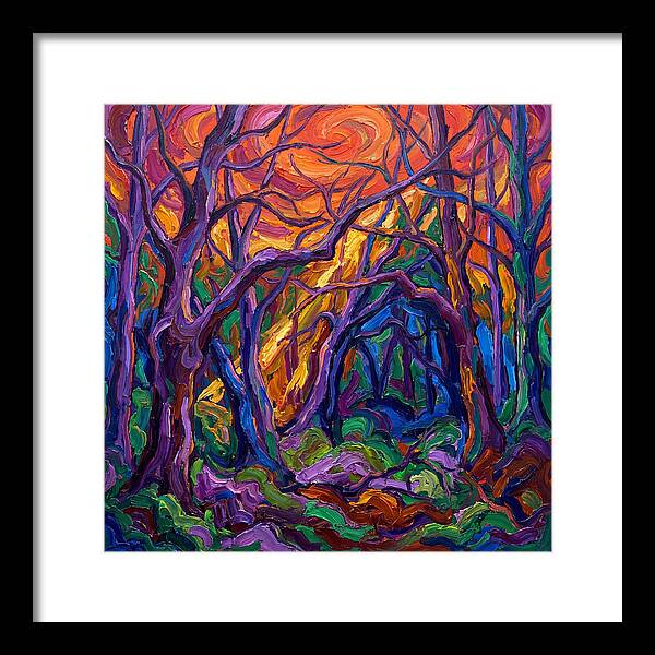 Deep Forest Dreams