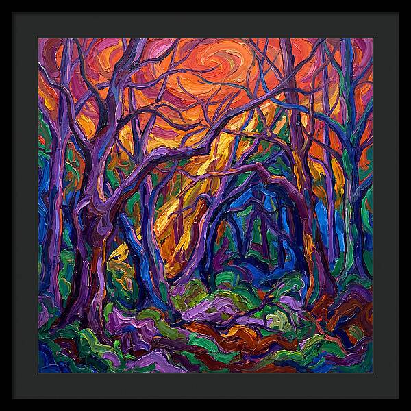 Deep Forest Dreams