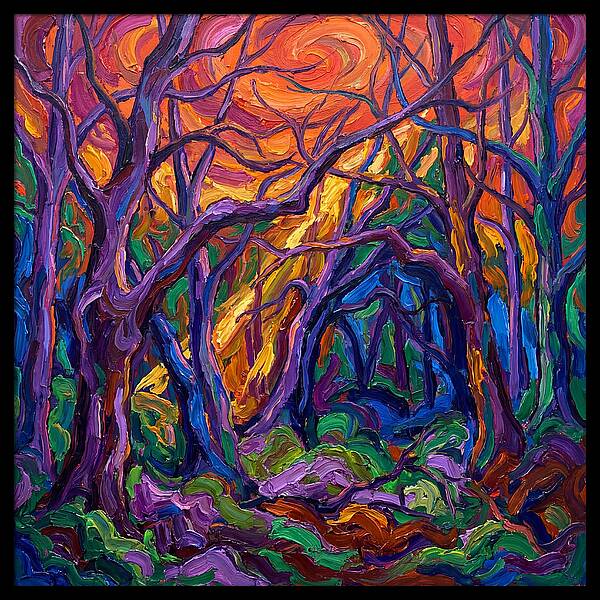 Deep Forest Dreams