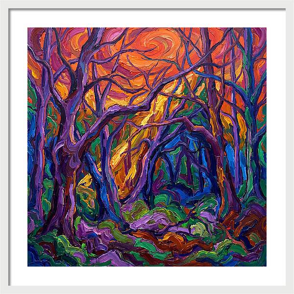 Deep Forest Dreams